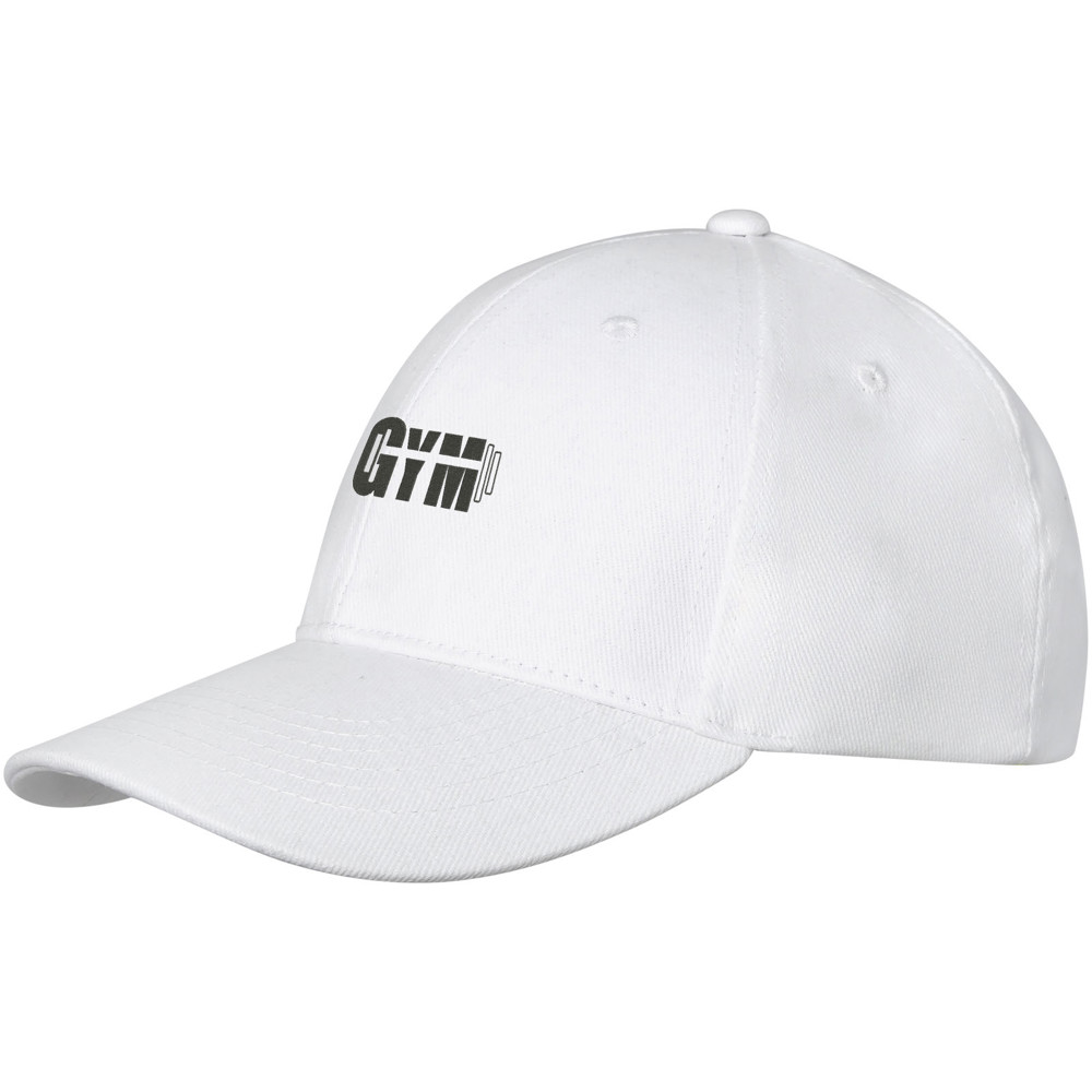 Davis 260 g/m² 6 panel cap