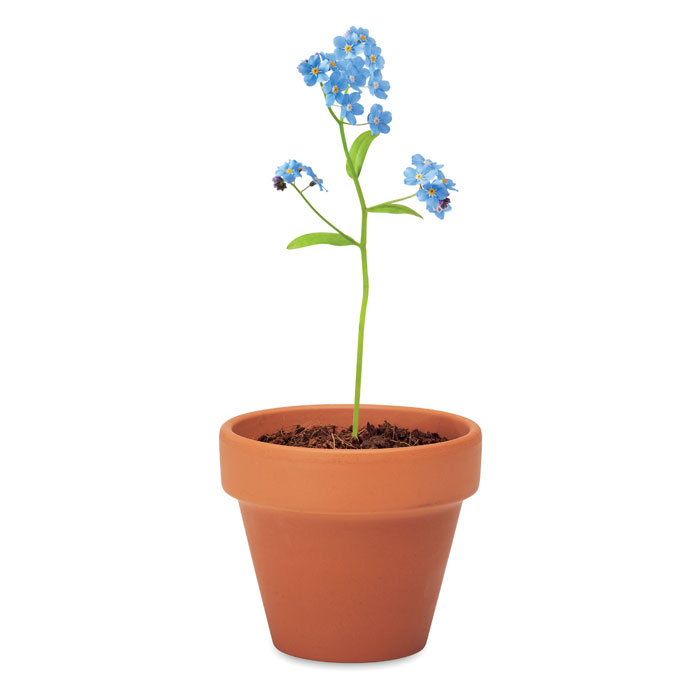 FORGET ME NOT - Potje Vergeet-me-nietjes