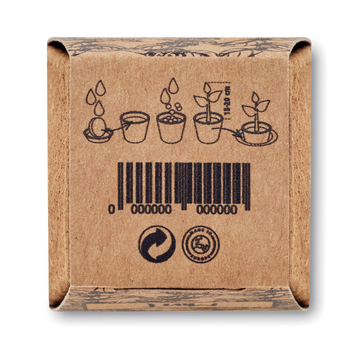 MINT KIT - Muntzaad kweekset