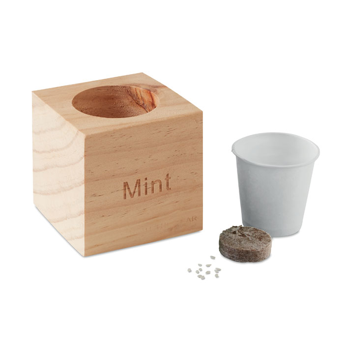 MENTA - Kweekset, munt in houten pot