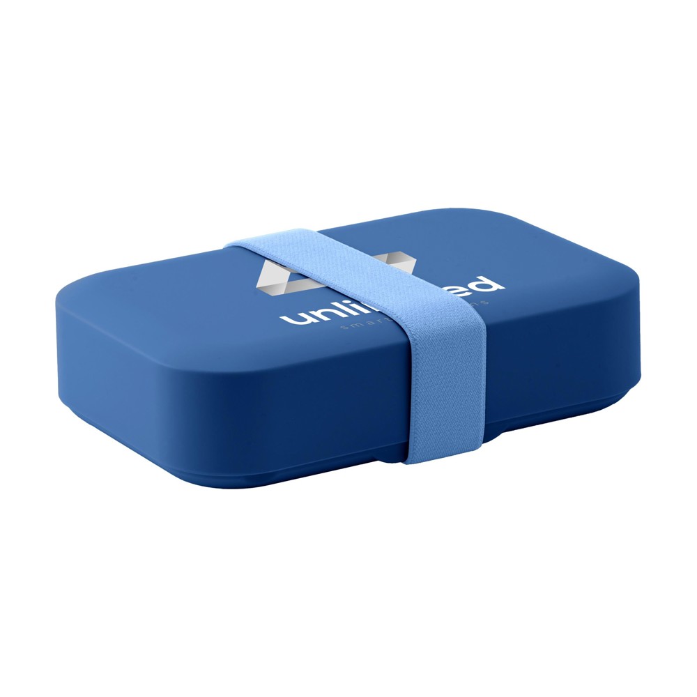 Day to Day Lunchbox Elastic 1100 ml