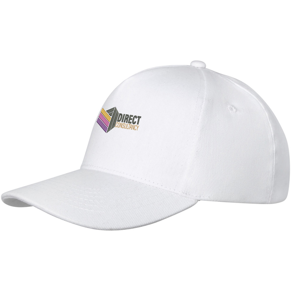Doyle 260 g/m² 5 panel cap